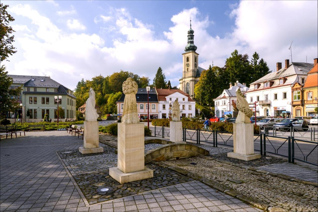 Apartmán - Dům Českého Švýcarska Krasna Lipa Exterior foto