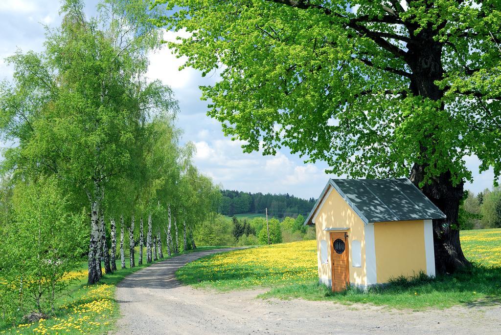 Apartmán - Dům Českého Švýcarska Krasna Lipa Exterior foto