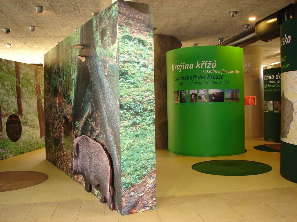 Apartmán - Dům Českého Švýcarska Krasna Lipa Exterior foto